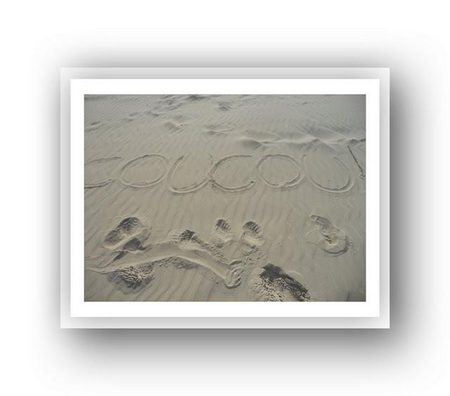 Bien le bonjour de la côte !