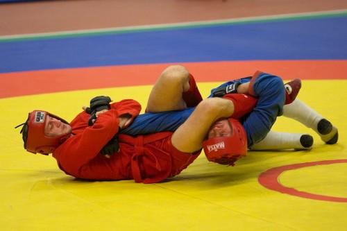 sambo combat