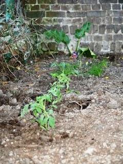 Un peu moins de couture