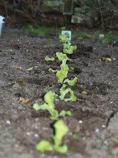 Un peu moins de couture