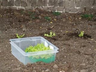 Un peu moins de couture