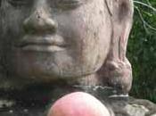 Terrasse éléphants, Raphaêl Aubert