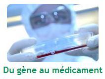 AFM: Du gène au médicament, un objectif toujours énoncé – Association Française contre les Myopathies