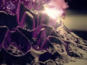 Motion Design Roman Ruetten