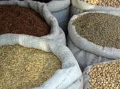 gardiens biodiversité.