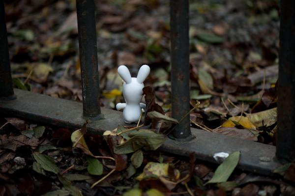 Le Cretin’s project #11 Explore