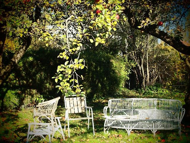 Holmberg everydayliving