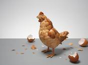 What came first L’oeuf Poule