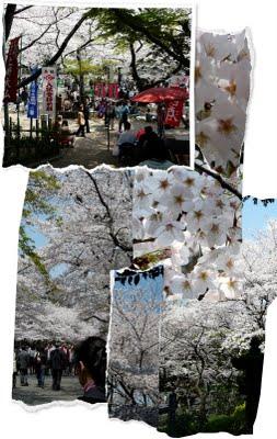 La tentation des petits carnets