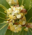 écriture,poésie,poèmes,poètes,livres