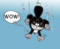 Va-t-il atterrir sur ses pattes?