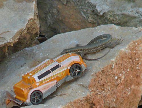 Un temps de saison : journal du 15 avril 2011