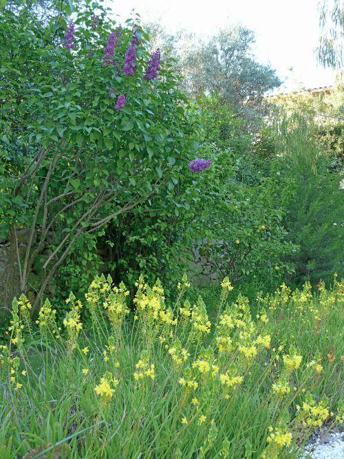 Un temps de saison : journal du 15 avril 2011