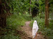 Mock Orange Disguised Ghosts