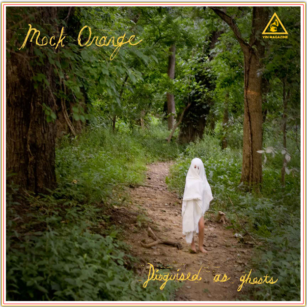 Mock Orange Disguised as Ghosts Mock Orange   Disguised as Ghosts