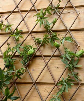 Plutôt considérée comme frileuse, je me suis toujours abs...