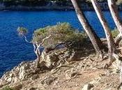 chemin douaniers Nice Villefranche