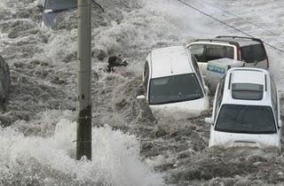Japon: Un photographe a échappé miraculeusement au tsunami