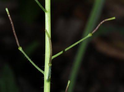 Printemps : revue de détails (3)