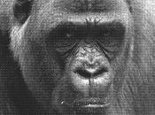 John Talabot feat. Glasser: Families Stream L’espagnol...