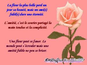 Légumes farcis recette de Monsieur Sourour