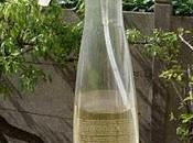 Désinfectant Sanitaire Herbes Aromatiques