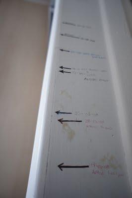 Projet 52 - Semaine 15