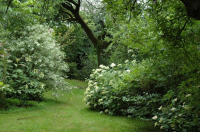 JARDINS DE LA COLLECTION VEGETALE 'ANNABELLE'