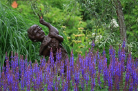 JARDIN - JARDIN A LA FAULX