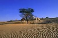 La fille du chasseur de Sophie Caratini