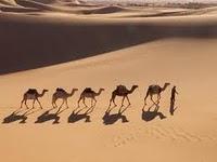 La fille du chasseur de Sophie Caratini