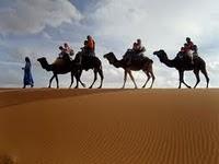 La fille du chasseur de Sophie Caratini