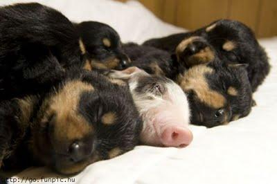 Le temps du repos...