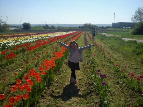 C'est le printemps !