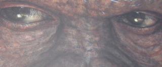 RiseofthePlanetoftheApes24075