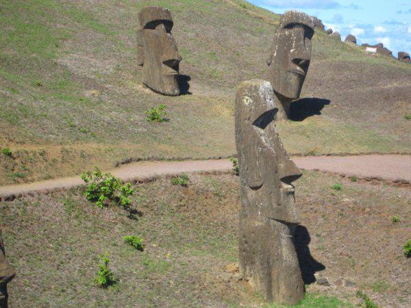 Rano Raraku - moai n° 292, 293 & 295 (numérotation d'Englert) - 10/03/2011