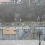 plusdebuzz.net_fail004