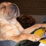 plusdebuzz.net_fail008