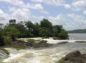 biodiversité basse vallée l'Oyapock