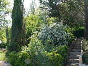 P_ques_au_Calfour_2011_002