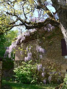 P_ques_au_Calfour_2011_009