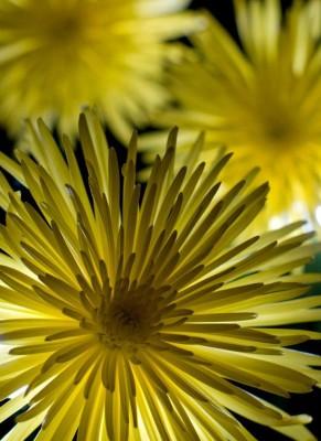 Astuce : effet dramatique avec flashs déportés