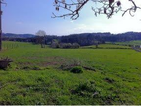 Au détour d'un vert chemin...