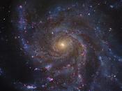 Portrait galaxie M101 réalisé télescope Hubble Robert Gendler