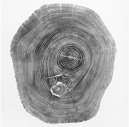 Imprimés arboricoles par Bryan Nash Gill