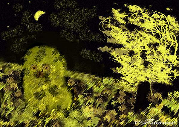 Arbre-nuit2-copie.jpg