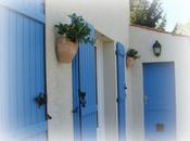 Dipladénias terrasse