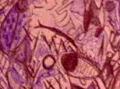 Comment séduire facebook