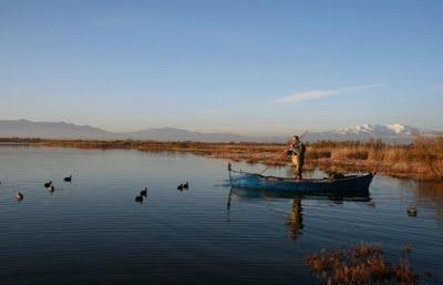 true colors Le H  comme HARMONIE