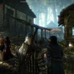 The Witcher 2 en images